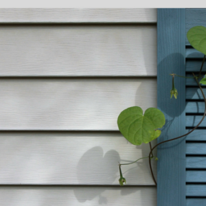 Siding