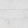 Carrara Matte Porcelain 12" X 24" detail