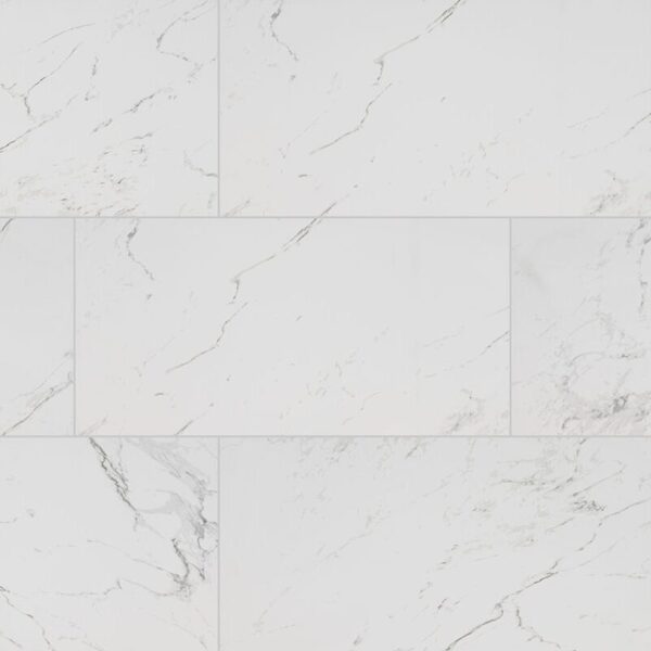 Carrara Matte Porcelain 12" X 24" detail