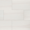 Eden Dolomite Polished Porcelain 12" X 24" detail