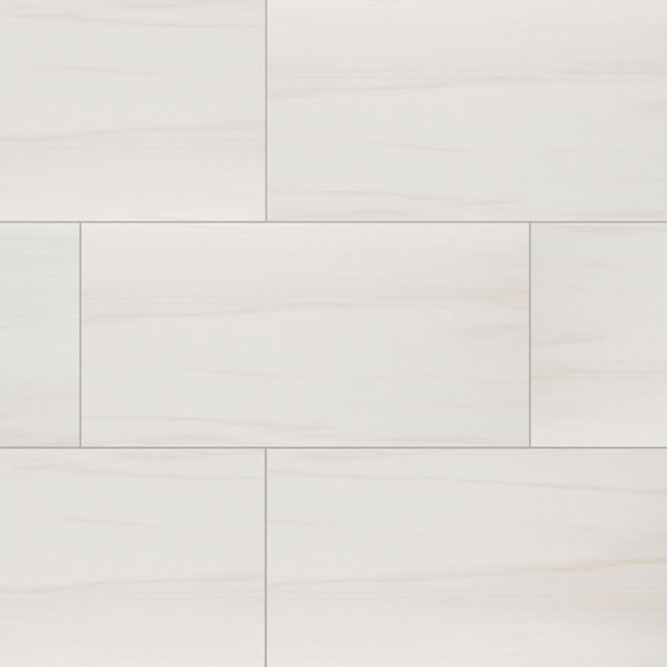Eden Dolomite Polished Porcelain 12" X 24" detail