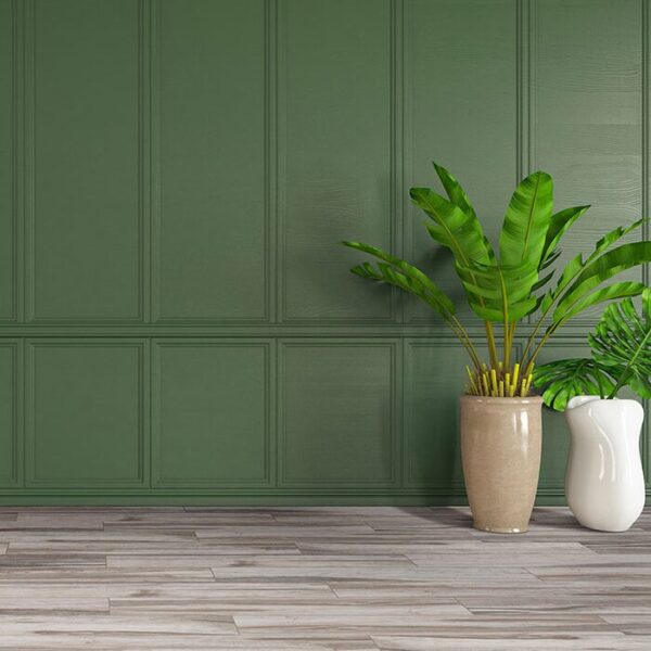 Carolina Timber Grey Matte Porcelain Tile 6" X 24" with 2 plants.