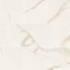 Eden Calcatta Matte Porcelain 24" X 48" detail