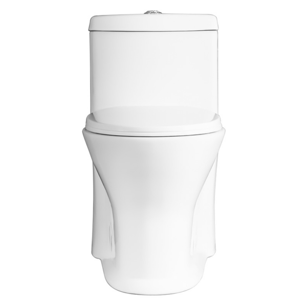 Winfield One-Piece Skirted Elongated Dual Flush Toilet
