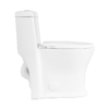 Winfield One-Piece Skirted Elongated Dual Flush Toilet