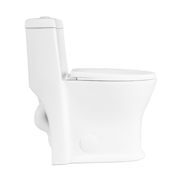 Winfield One-Piece Skirted Elongated Dual Flush Toilet