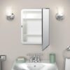 Zenna Home 16 in. × 20 in. Medicine Cabinet