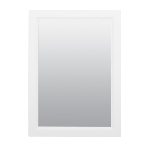 Zenna Home 16 in. × 22 in. White Framed Medicine Cabinet