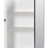 Zenith 16 in. × 26 in. Medicine Cabinet