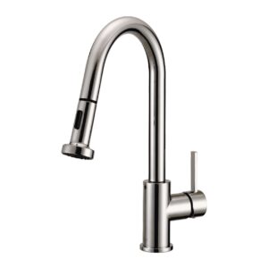 Modern Stainless Pull-Down Kitchen Faucet
