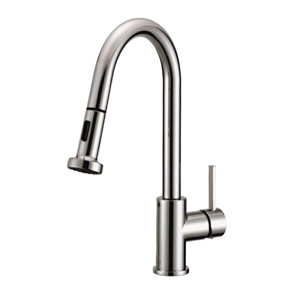 Modern Stainless Pull-Down Kitchen Faucet