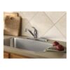 Moen Adler Chrome Low Arc Kitchen Faucet lifestyle