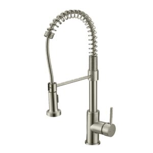 Spring Style Stainless Pull-Down Kitchen Faucet